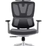 High Back Office Chair with Height Adjustable Headrest Mesh Office Arm Chair